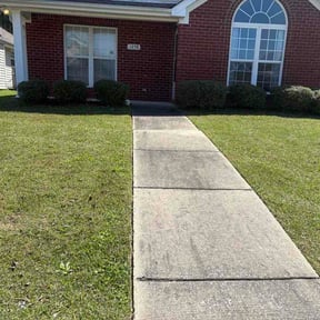 Bush Trimming by Canute Property Care &amp; Management reviewed on April 7, 2026