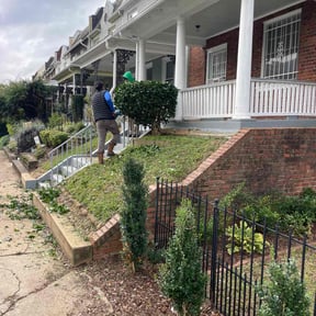 Bush Trimming by ETC Services reviewed on November 21, 2025