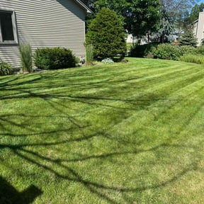grass cutting by Lee’s lawn care reviewed on July 3, 2025
