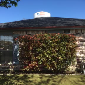 Bush Trimming by At Your Command reviewed on November 25, 2025