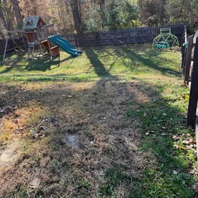 Leaf Removal by 100% Landcare reviewed on December 1, 2025