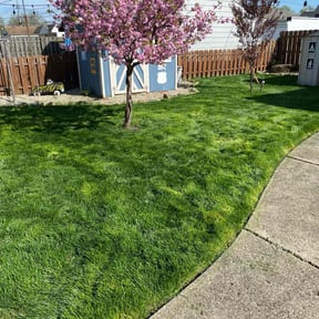 landscaping by Fathers N Sons Lawn Care reviewed on August 19, 2025