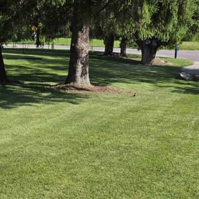 landscaping services by Grass Munchers reviewed on December 10, 2025