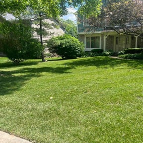 landscape maintenance by Bubbas yard care reviewed on August 19, 2025