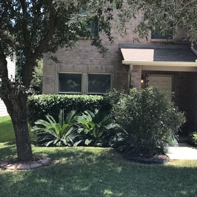 Bush Trimming by Henson’s Lawns Specialist reviewed on August 18, 2025