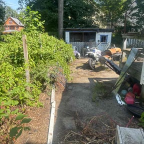 Leaf Removal by Fresh Mowz reviewed on October 3, 2025