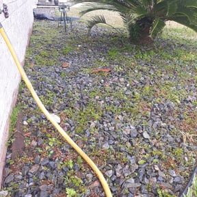 Flower Bed Weeding by Green Cutterz LLC reviewed on August 21, 2025