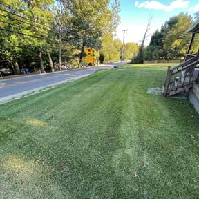 turf care by Rmp residential services reviewed on October 4, 2023