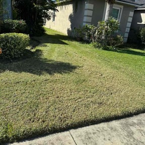 Bush Trimming by F&amp;C Lawn Care reviewed on October 24, 2025