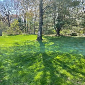 landscape maintenance by Forever Green FG LLC reviewed on December 22, 2023