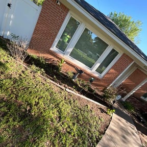 Leaf Removal by Freshstart preservations reviewed on September 30, 2025