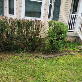 Bush Trimming by Franklin professional services reviewed on August 19, 2025