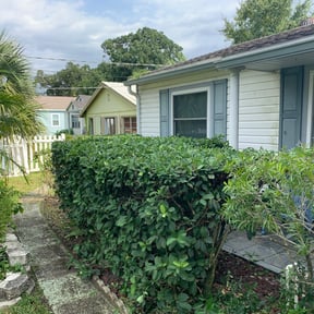 Bush Trimming by Turfbound Landscape, LLC reviewed on August 20, 2025