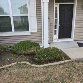 Bush Trimming by Bermuda Lawn Care Services & Weed Abatement reviewed on August 19, 2025