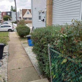 Bush Trimming by Edgar reviewed on August 19, 2025
