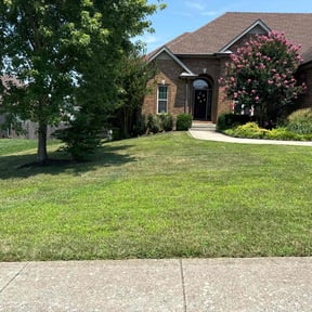 yard maintenance by Stephen watts lawn care llc reviewed on August 20, 2025