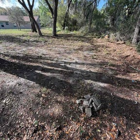 Leaf Removal by Terry's Lawn Service reviewed on March 16, 2026