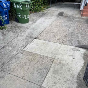 Long Grass Cleanup by Steven West reviewed on October 27, 2024