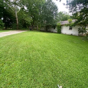 yard maintenance by GET Tax Service reviewed on August 21, 2025