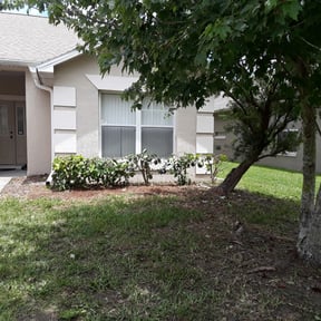Bush Trimming by River Oaks lawn solutions reviewed on August 16, 2025