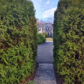 Bush Trimming by Kiko Lawn Care reviewed on August 15, 2025