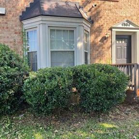 Bush Trimming by Alternative Lawn Care reviewed on August 16, 2025