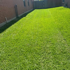 lawn service by Kingdom Creations reviewed on April 3, 2024