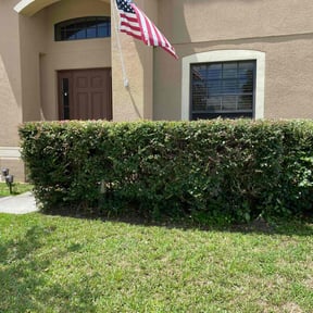 Bush Trimming by Verde Lawn and Property Management reviewed on August 16, 2025