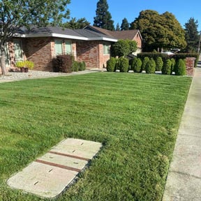 grass maintenance by Service Squad L.L.C. reviewed on May 26, 2025