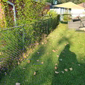 Bush Trimming by Under Cutters Lawn & Landscaping reviewed on August 18, 2025