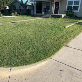turf care by Home Grown Garden and Lawn reviewed on August 17, 2025