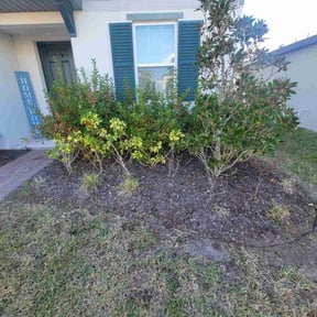 Flower Bed Weeding by Linares Lawn Care reviewed on March 31, 2026