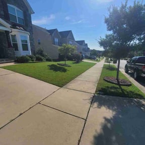 landscape maintenance by Nick Moskos reviewed on August 17, 2025