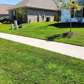 yard service by Daniel campos reviewed on August 15, 2025