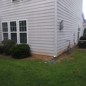 Bush Trimming by Perspective Solutions LLC reviewed on August 18, 2025
