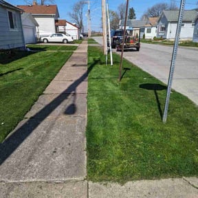 yard maintenance by Norman Boys Lawn Care reviewed on August 18, 2025