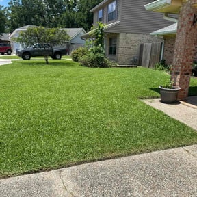 landscape maintenance by LD Brown Landscaping And Pressure Washing reviewed on August 15, 2025
