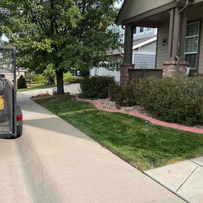 yard work by Jay Bradley reviewed on August 17, 2025