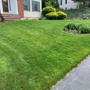 landscaping services by Randys Lawn Service reviewed on August 18, 2025