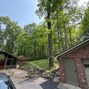 residential landscaping by GET Tax Service reviewed on August 15, 2025