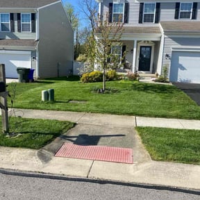 grass maintenance by Shoemaker lawn services reviewed on August 17, 2025