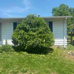 Bush Trimming by Escalade lawn care reviewed on August 15, 2025