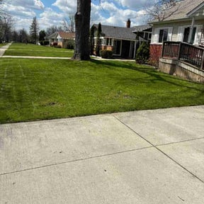 Leaf Removal by H&amp;M Lawncare and Cleaning Services llc reviewed on May 8, 2026