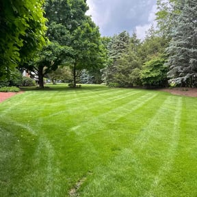 lawn care services by Los Sebas Lawnscap reviewed on August 2, 2024