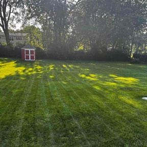 grass cutting by Chloe’s Lawn Care LLC reviewed on September 18, 2024