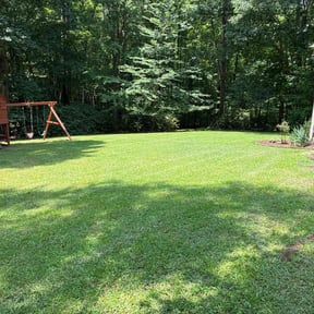 residential landscaping by TOMS - Total Outdoor Maintenance reviewed on August 15, 2025