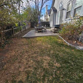 Leaf Removal by Carlito's Lown Mowing Service reviewed on November 7, 2025