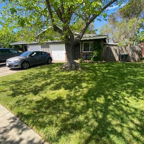 yard work by Ausmus Gardencare reviewed on August 19, 2025