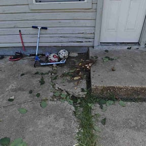 Bush Trimming by Collins landscaping reviewed on August 17, 2025