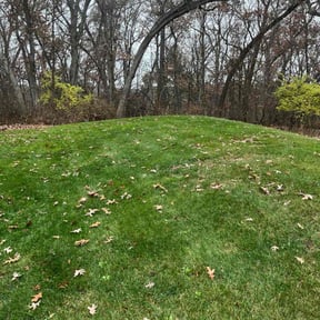 Leaf Removal by Greg&#039;s gardens reviewed on November 21, 2025